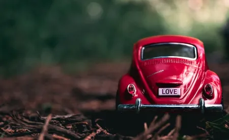 Image for Ā Love Bugs: What's to love?