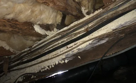 Image for Moisture in a Crawl Space