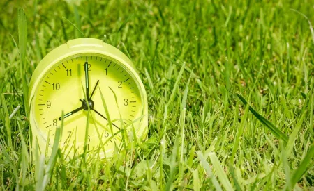 Image for Spring is right on time, and so are the termites