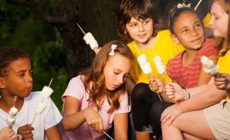 Image for Summer camp and bed bugs: What moms should know