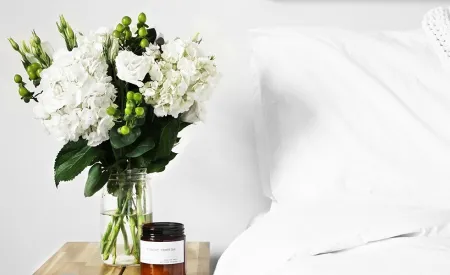 Image for Sleep tight, don't let the bed bugs bite