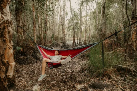 a person lying in a hammock in the woods