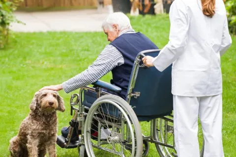 How to Care for a Paralyzed Person at Home – A Guide
