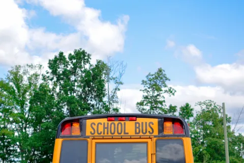 a school bus parked in front of trees