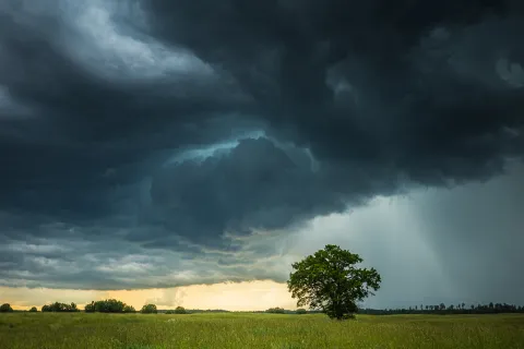 Dark storm clouds gather over a lone tree in a green field with rain visible in the distance.