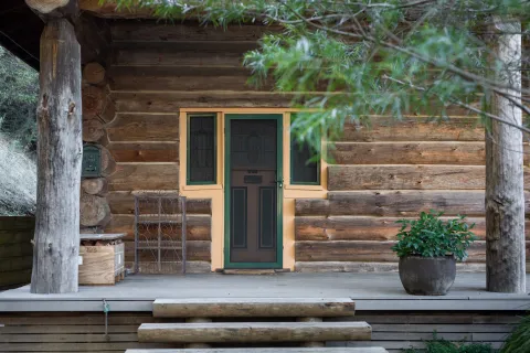 Front porch of rustic log cabin with wooden steps, green door, potted plant, and natural wood details.