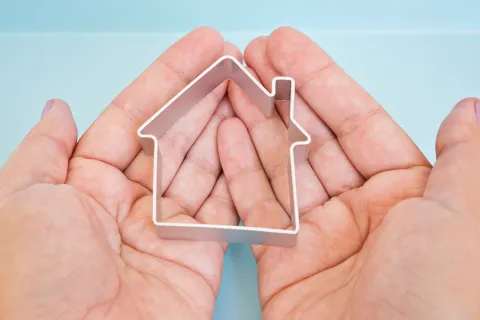 a hand holding a house container