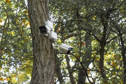 a white and black camera on a tree