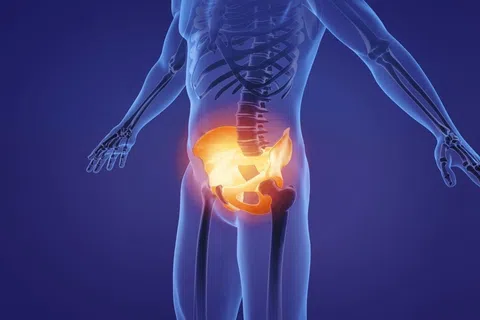 3D illustration of human skeleton focusing on pelvis highlighted in orange against blue background