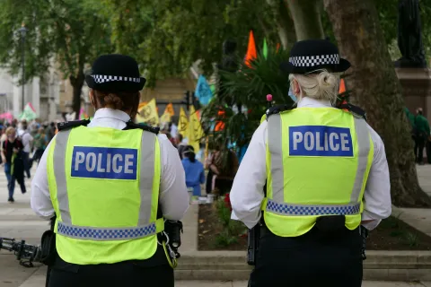 Rear view of two police officers in high-visibility jackets monitoring a crowd at an outdoor event with flags.