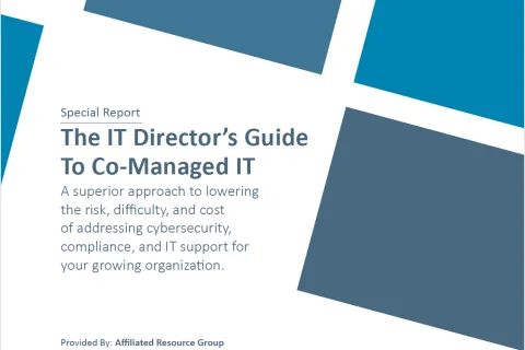 Cover page of a report titled 'The IT Director's Guide To Co-Managed IT' with contact information.