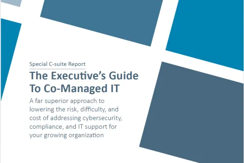 Cover page of The Executive's Guide to Co-Managed IT report with abstract design elements and company info.