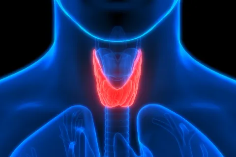 Illustration of a thyroid gland with informational icons highlighting symptoms and treatment, promoting Thyroid Awareness Month and early thyroid health screening.