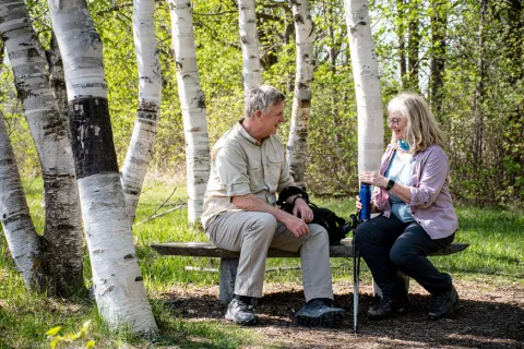 Senior couple resting on a bench in a birch forest during a sunny hiking day.