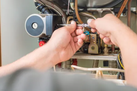a person holding a device