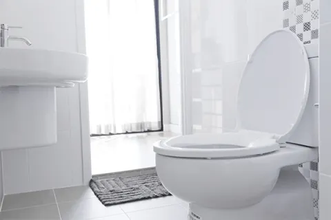 How Often Should I Replace My Toilet?
