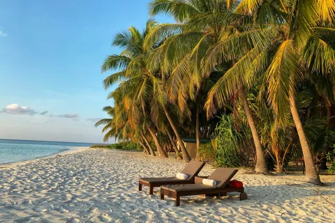 a lounge chair and palm trees on a beach