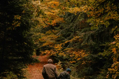 a man and a child walking on a path in the woods