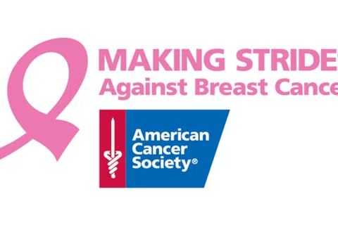Team Pink Helps in Making Strides Against Breast Cancer