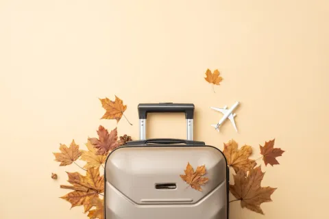 Why Your Legs Hate Holiday Travel (And How to Fix It Before December)