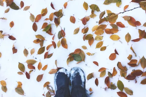 Vein Season Is Here: Why You Should Treat Your Legs This Fall or Winter