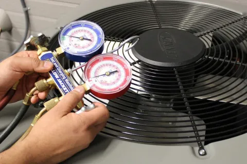 a person holding a cd