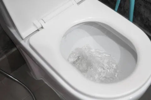 toilet flushing on its own