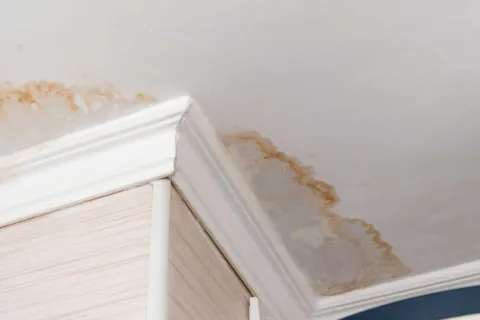 Water stains and damage on a white ceiling near crown molding above a cabinet corner.