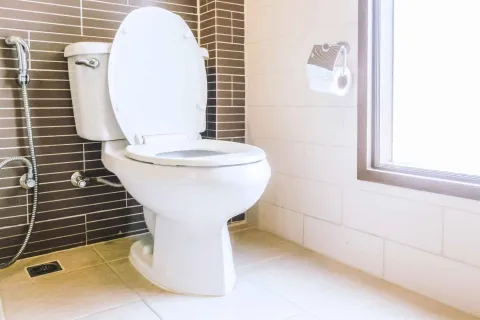 White toilet with open lid in a bright tiled bathroom next to a handheld bidet and window light.