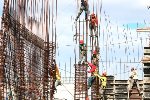 a group of men on a ladder