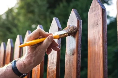 Staining vs Painting Your Wooden Fence