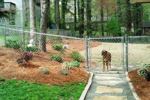What Is the Best Fence for Dogs?