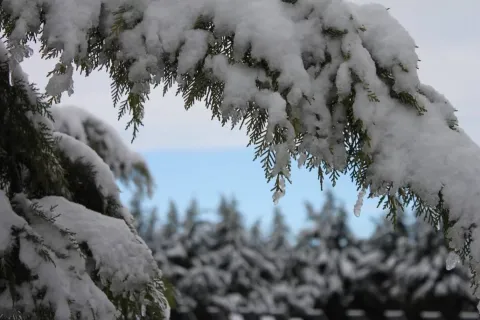 You Can Install a Fence in Winter