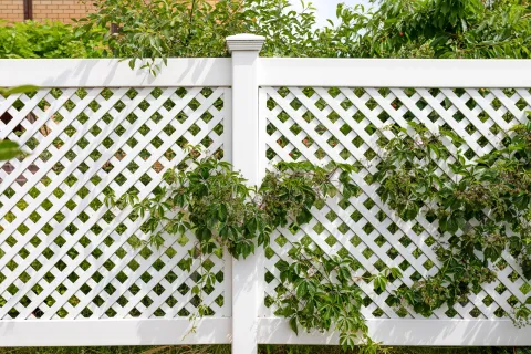 The Beauty and Functionality of a Lattice Fence 