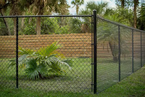 The Appeal of a Black Chain Link Fence 