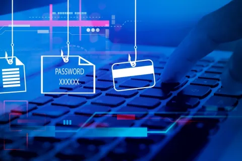 a computer screen capture