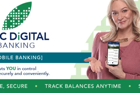 graphical user interface, website