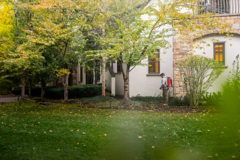 Gardener using a backpack sprayer to treat plants near a house with stone and white walls in autumn.