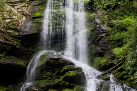 a waterfall in a forest