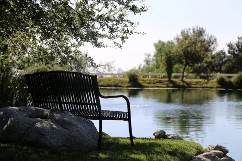 a bench sits by a lake