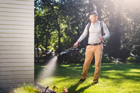a person using pesticide