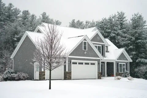 a house with a garage and trees in the back