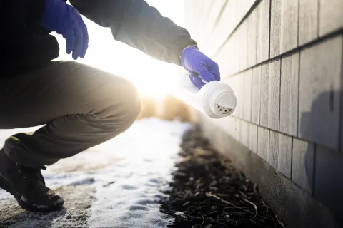 Person in gloves spreading granular pest control near house foundation on a snowy day during sunrise.