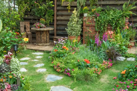 Garden with pest repelling plants.