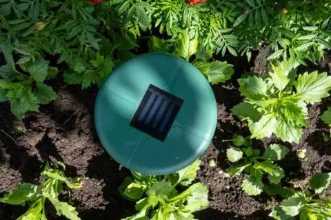 Green solar-powered garden device placed in soil among green plants and marigold flowers in sunlight