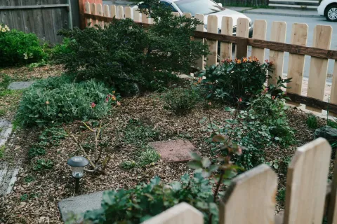 Small front yard garden with mulch, shrubs, solar garden light, and wooden picket fence near parked cars.