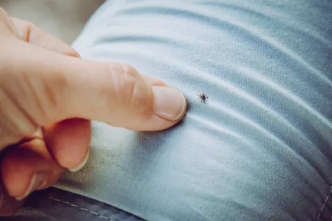 a person holding a bug