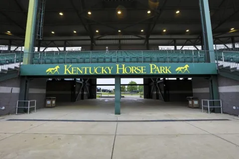 a horse park