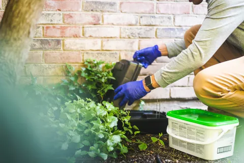 Person wearing gloves planting a black container near green plants against a brick wall in a garden.