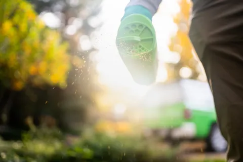 Person wearing a glove spreading garden fertilizer or seeds outdoors on a sunny day with blurred background.